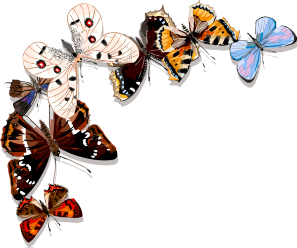 Рамка для фото бабочки papillons Butterfly clip art, Handmade art, Clothes design