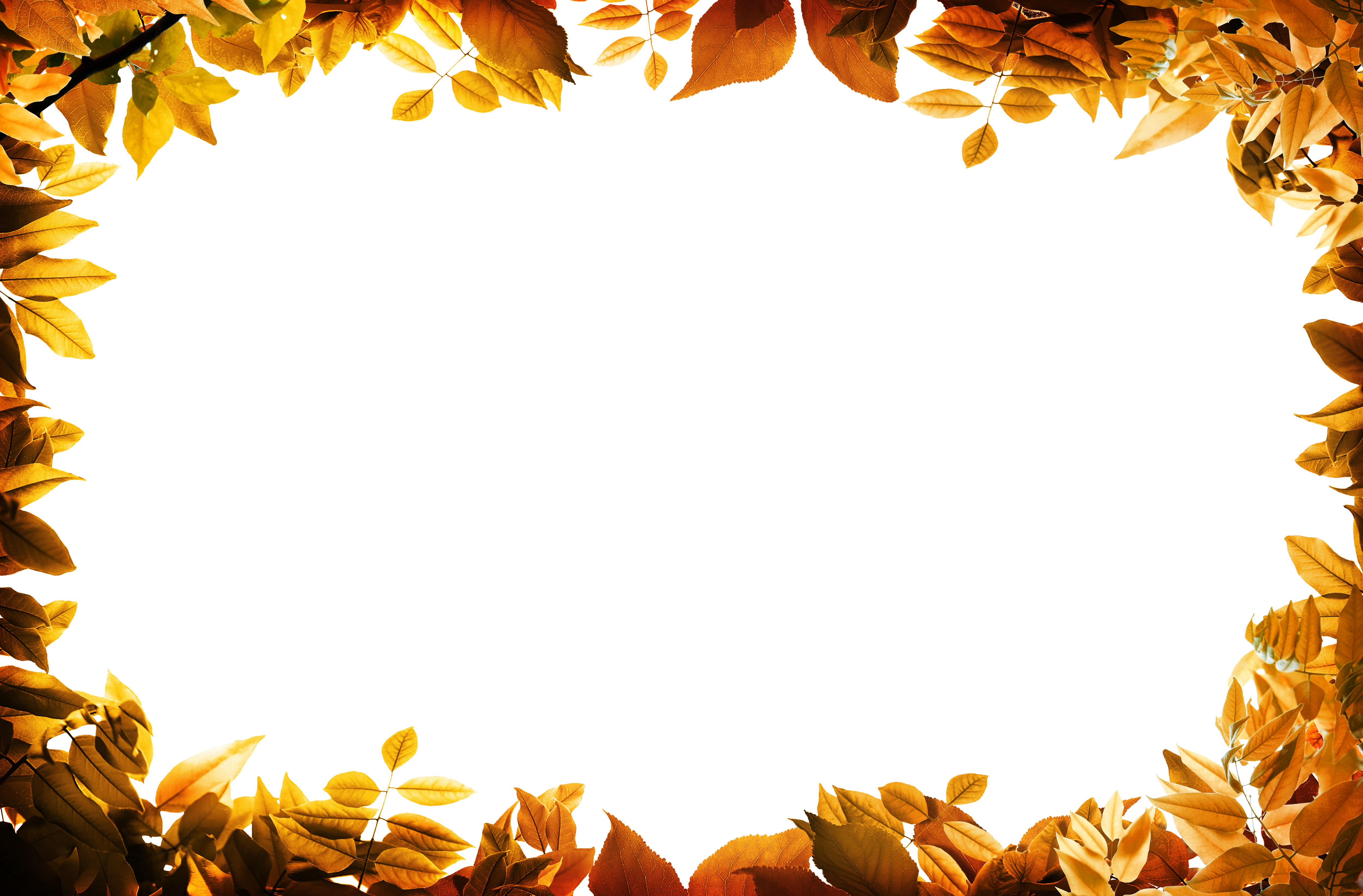 Рамка для фото из осенних листьев Film Frame Leaf Autumn Clip Art - Leaves Oarange Border Png - (5000x3286) Png Cl