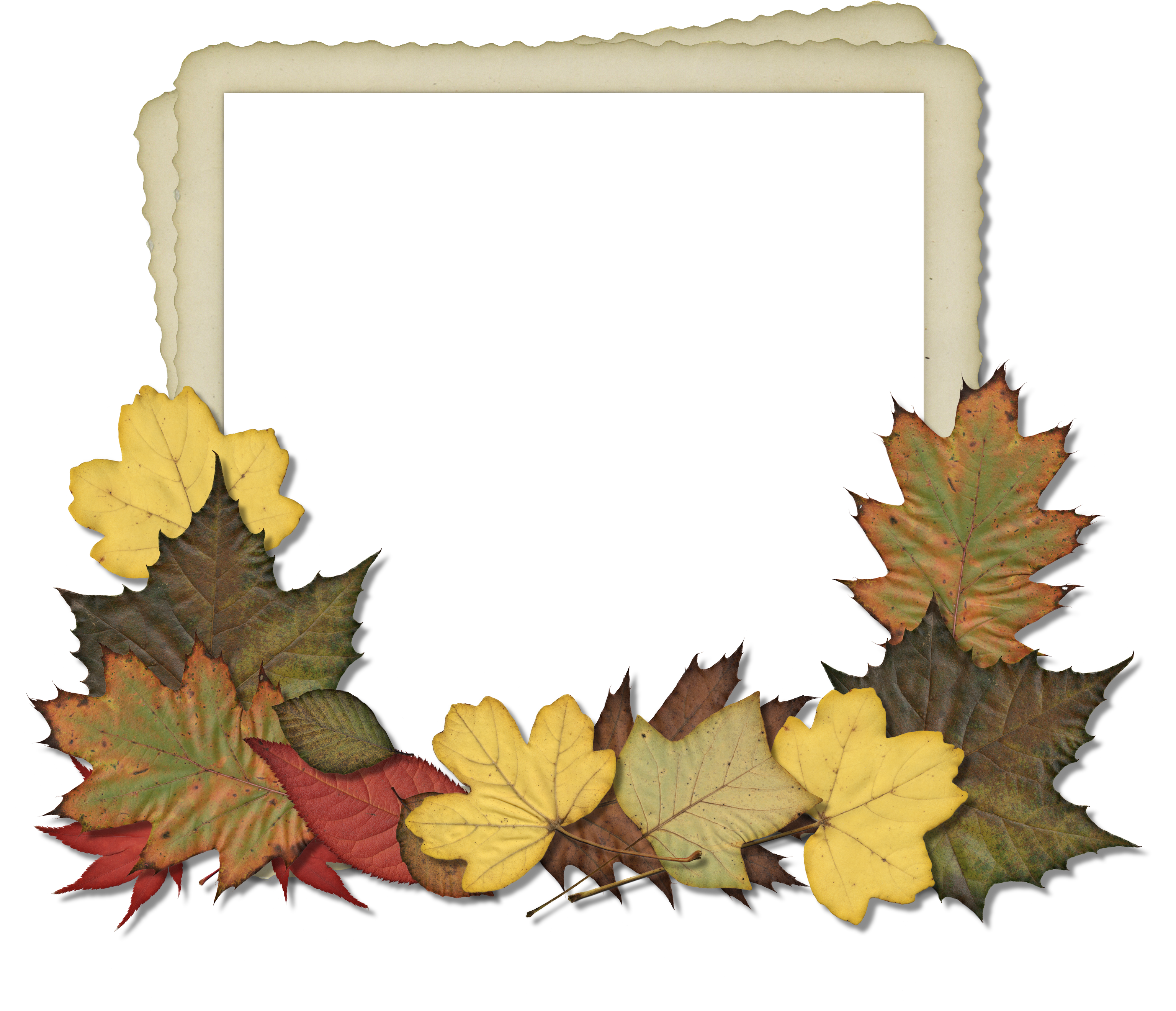 Рамка для фото из осенних листьев Halloween frames, Frame, Autumn leaves