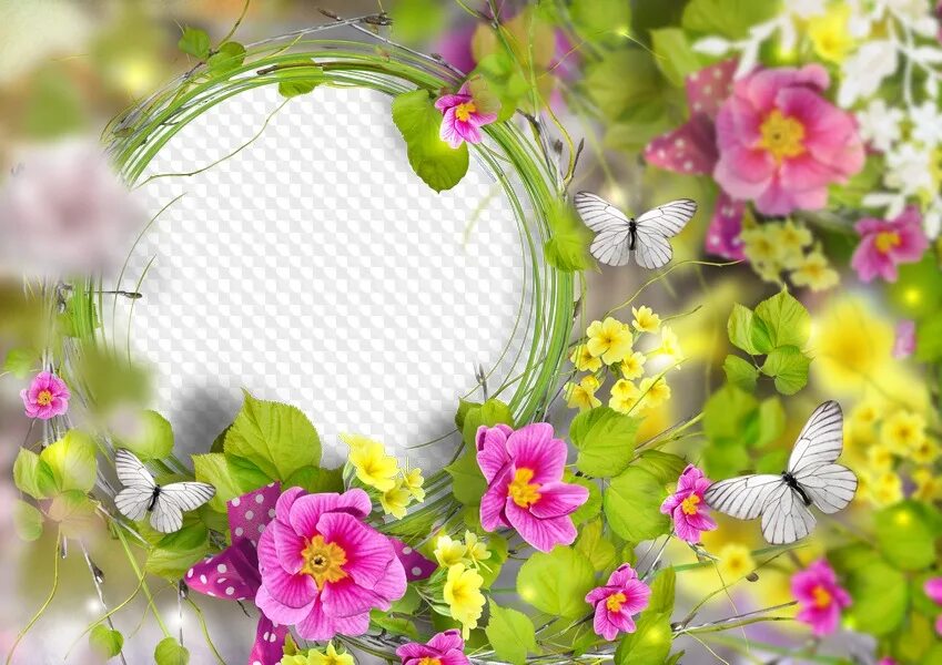 Рамка для фото май Spring photo frame for photoshop PSD PNG