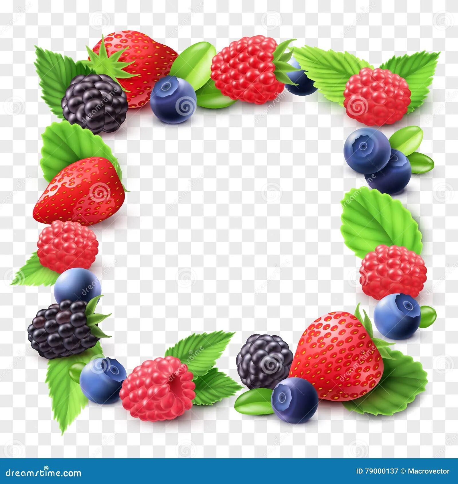 Рамка для фото с ягодами Berry Frame Transparent Illustration Stock Vector - Illustration of natural, des