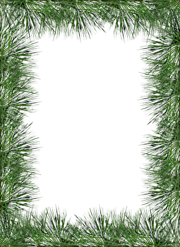 Рамка для фото сосна Transparent PNG Pine Photo Frame Winter photo frame