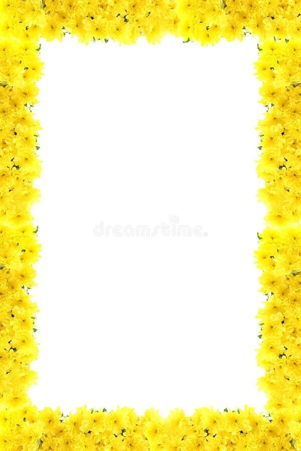 Рамка желтая фото Frame from Yellow Chrysanthemums. Stock Image - Image of structure, chrysanthemu