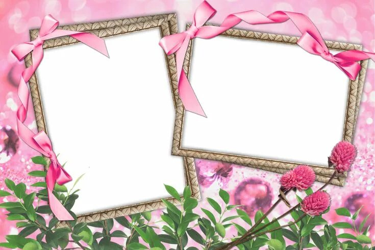 Рамки для фото поле Decorative Wedding Frame PNG