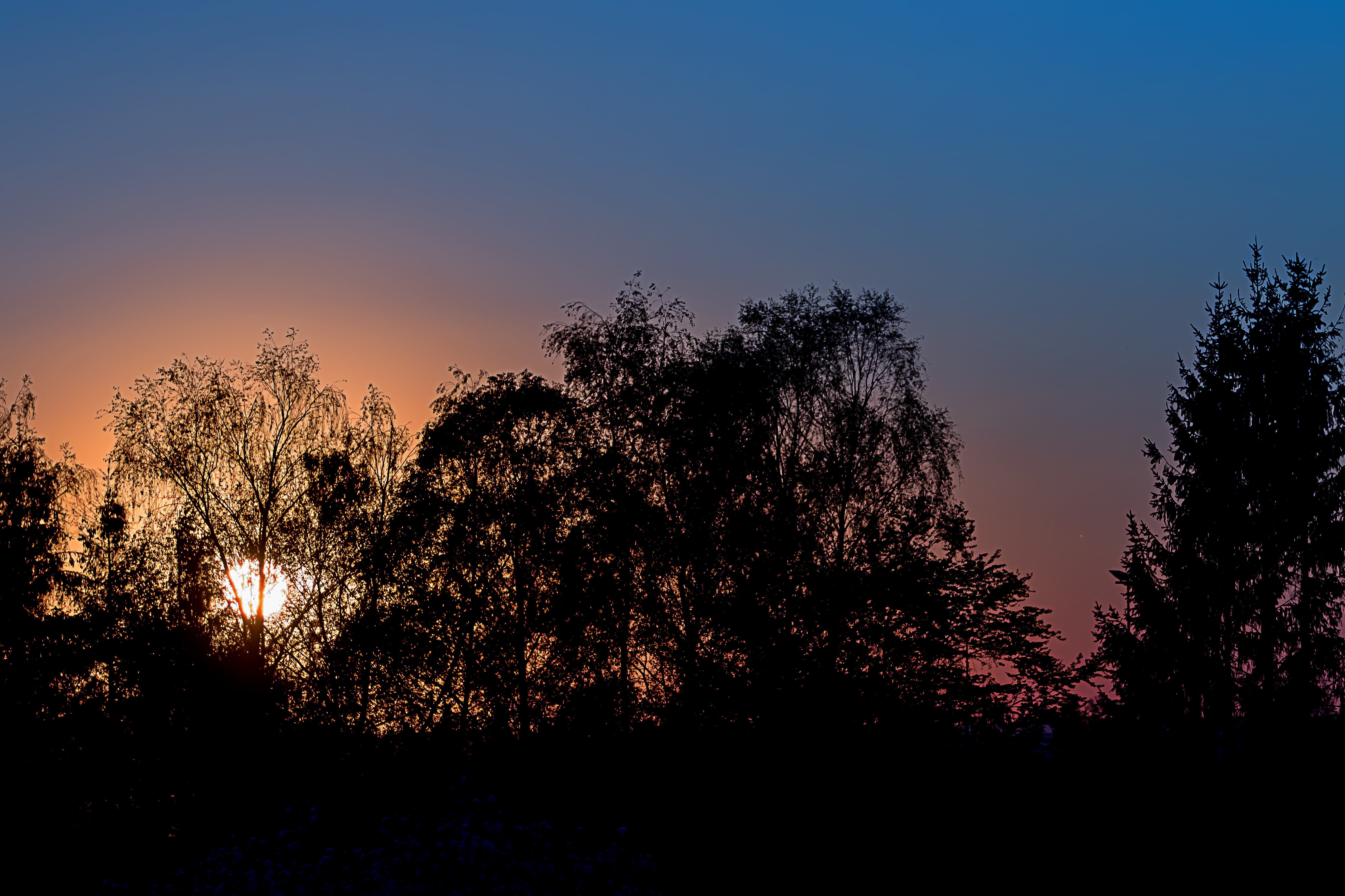 Рамки для картин фото закат ночь Free Images : tree, nature, branch, cloud, sun, sunrise, sunset, night, sunlight