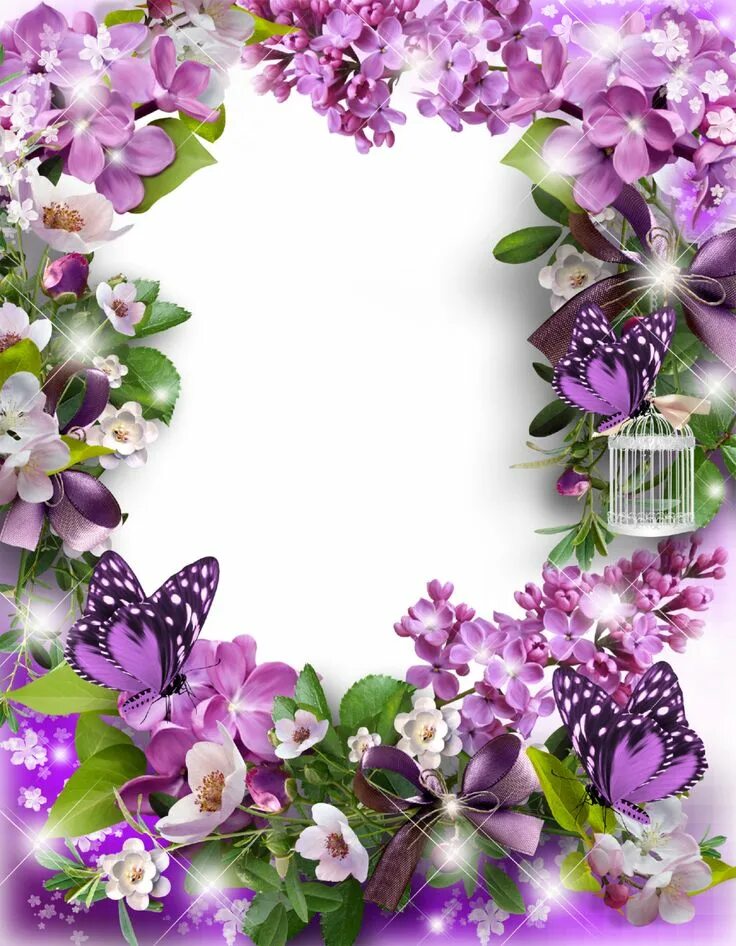 Рамки для оформления фото Flower picture frames, Flower frame, Flower frame png