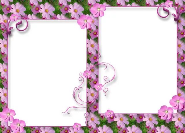 Рамки для оформления фото Pin by **DaWn** on Frames Flower frame png, Flower frame, Frame