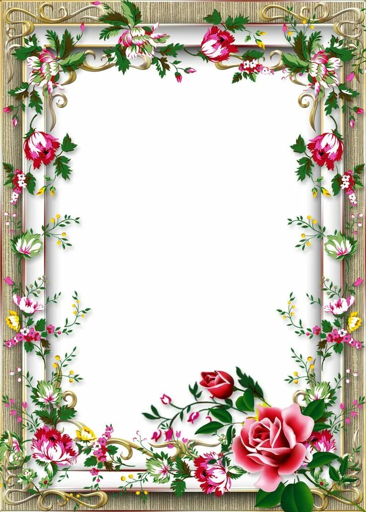 Рамки для текста фото поздравления Frame for Photo with Beautiful Pink Roses ( PSD, PNG ) downl Floral border desig