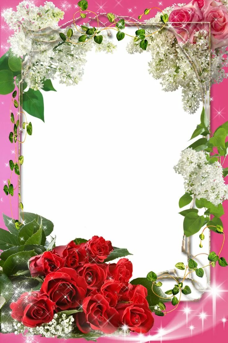 Рамки открытки вставить фото Frames PNG flores #4 Flower frame, Photo frame design, Birthday photo frame