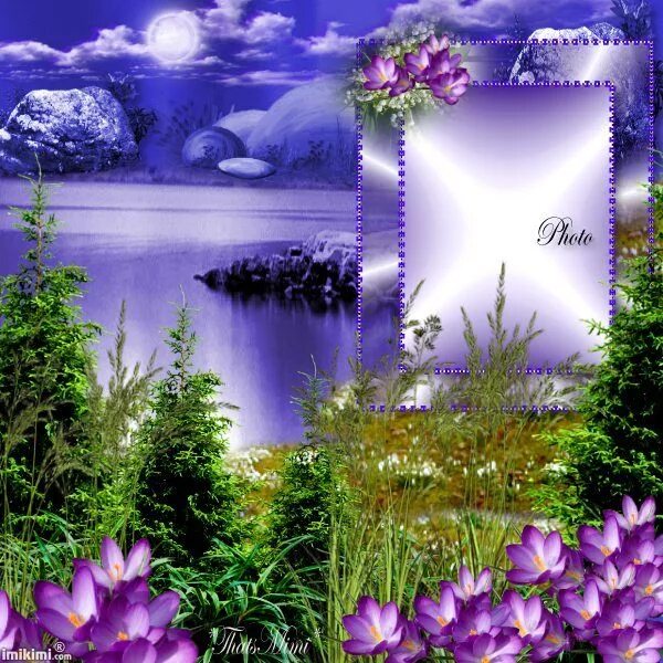 Рамки природа вставить фото бесплатно pretty place! * - imikimi.com Photo frame design, Photo background images, Green