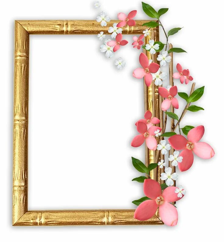 Рамочки для оформления фото Marco para personalizar con tu foto Flower frame, Frame, Rose flower wallpaper