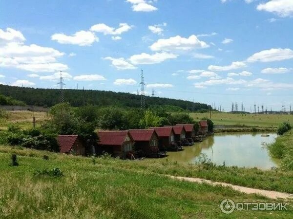 Ранчо солнечная ул 57 село денисовка фото Отзыв о Денисовская Страусиная ферма (Россия, Денисовка) Ещё одно место с экзоти