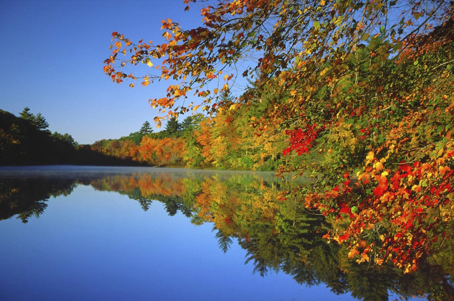 Ранний сентябрь фото Reminds me of the lake by school Fall pictures, Fall foliage, New england fall