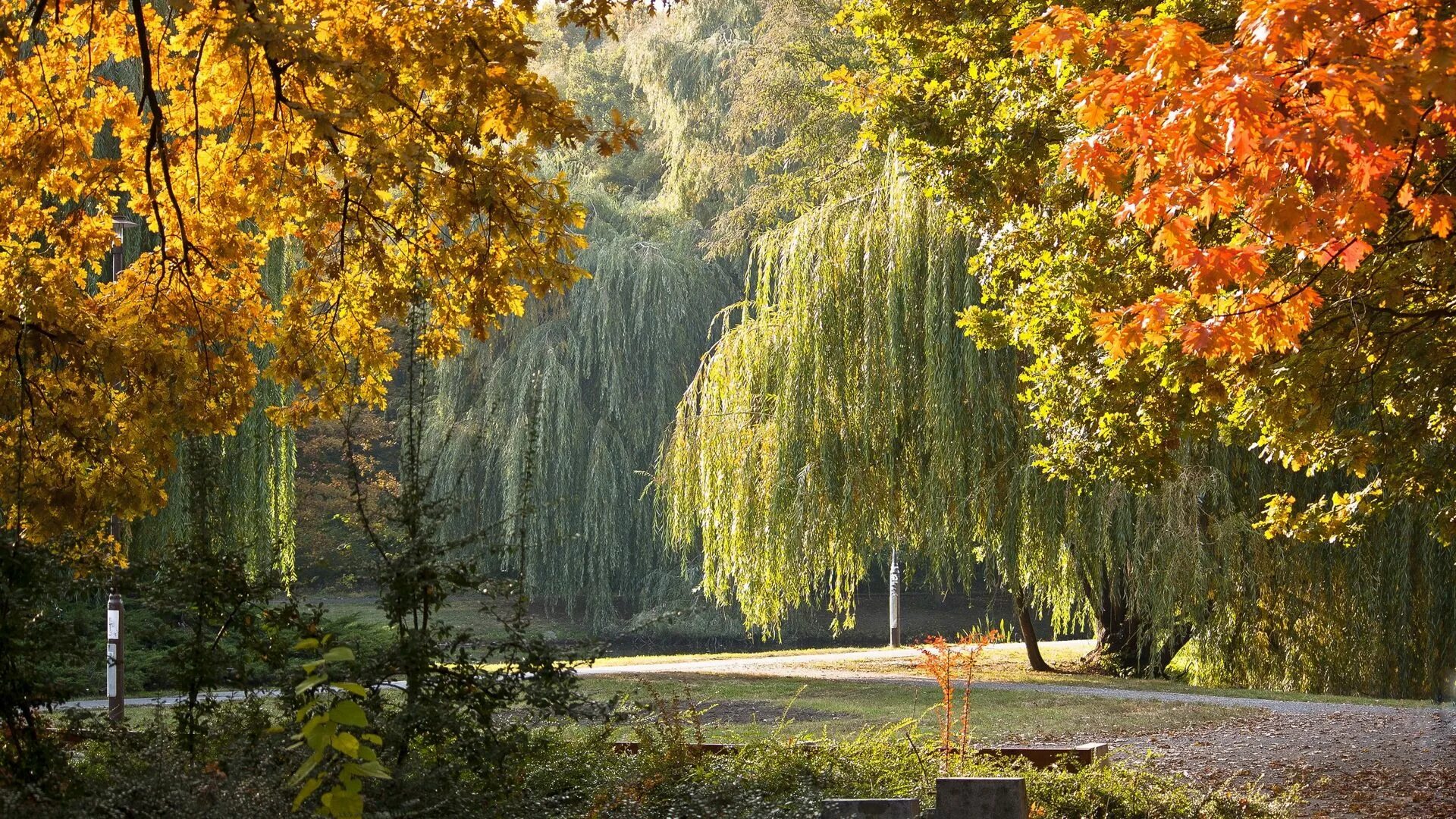 Ранний сентябрь фото Download wallpaper 1920x1080 park, hungary, autumn, landscape full hd, hdtv, fhd