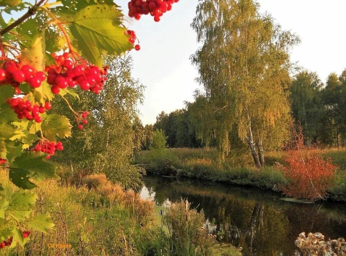 Ранний сентябрь фото Экскурсия в природу родного края. 2023, Мамадышский район - дата и место проведе