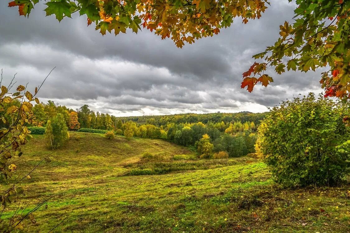 Ранняя осень фото природы Как пунктуальна осень (Странник Рифмоплетный) / Проза.ру