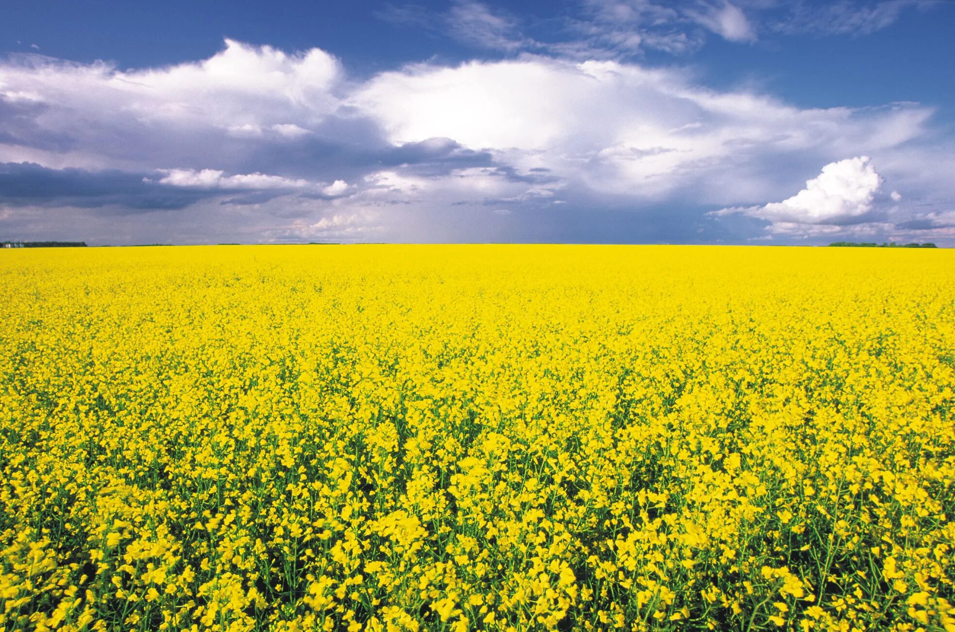 Free Images : landscape, nature, horizon, mountain, sky, hiking, field, meadow, 