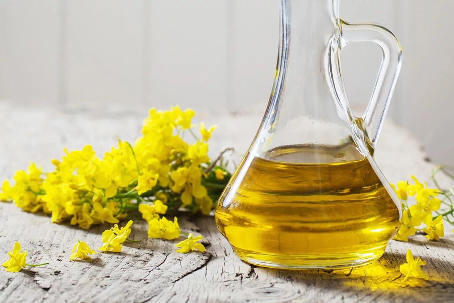 Рапсовое масло фото Turns Out That This Type Of Oil Is Just Another Name For Canola Oil Healthy oils