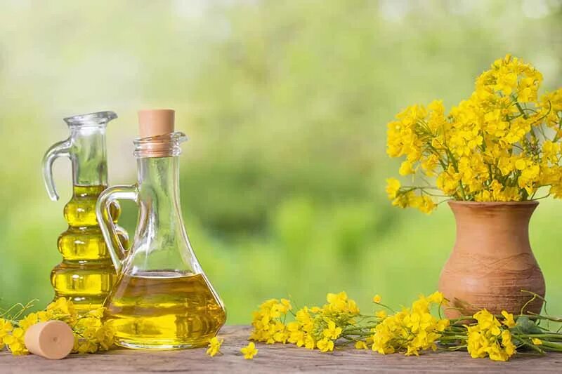 Рапсовое масло фото Canola vs. Rapeseed Oil: What’s the Difference? Foodal