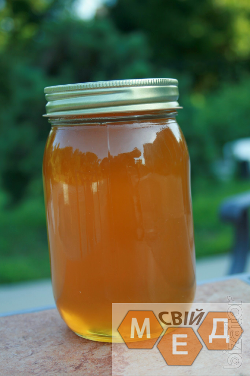 Рапсовый мед фото описание отзывы Rape honey from the apiary "Own honey" - Buy on www.bizator.com