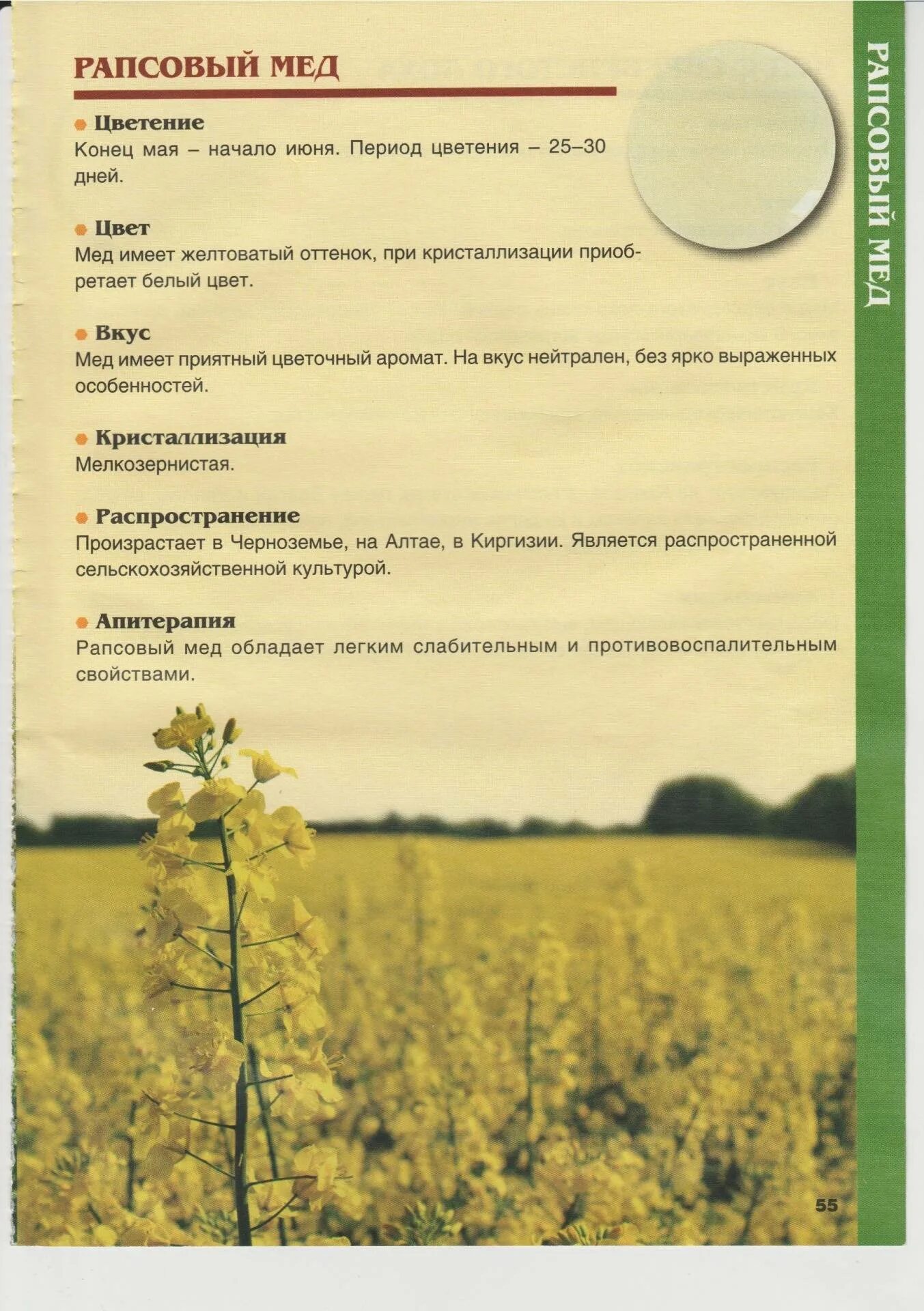 МЁД майский - 12руб. лит., цена 6 р. купить в Пинске на Куфаре - Объявление № 12