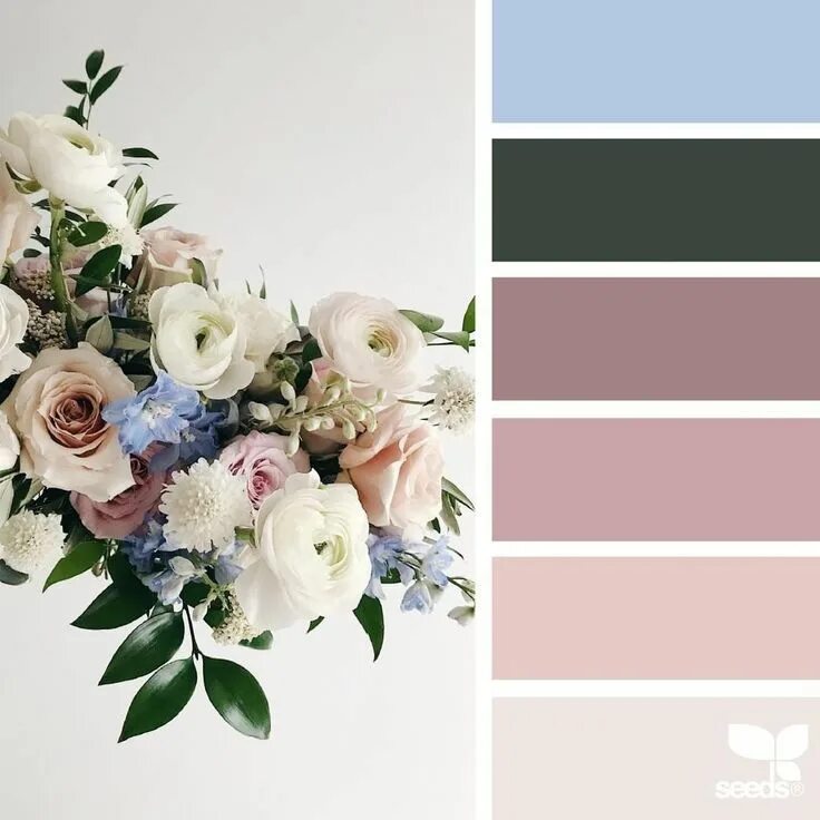 Раскладка фото по цвету Beautiful fall and winter flora for the win #colorscheme #winter #colorpalette S