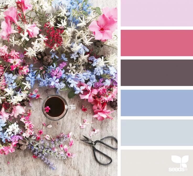 Раскладка фото по цвету Design Seeds Bloglovin' Seeds color, Color palette, Design seeds