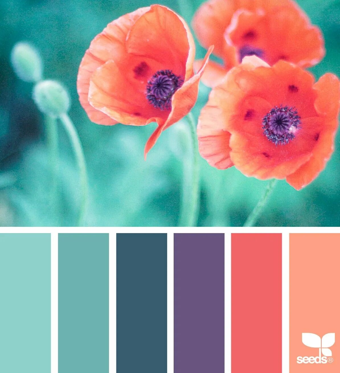 Раскладка фото по цвету Pin on Colors Seeds color, Color palette, Color schemes