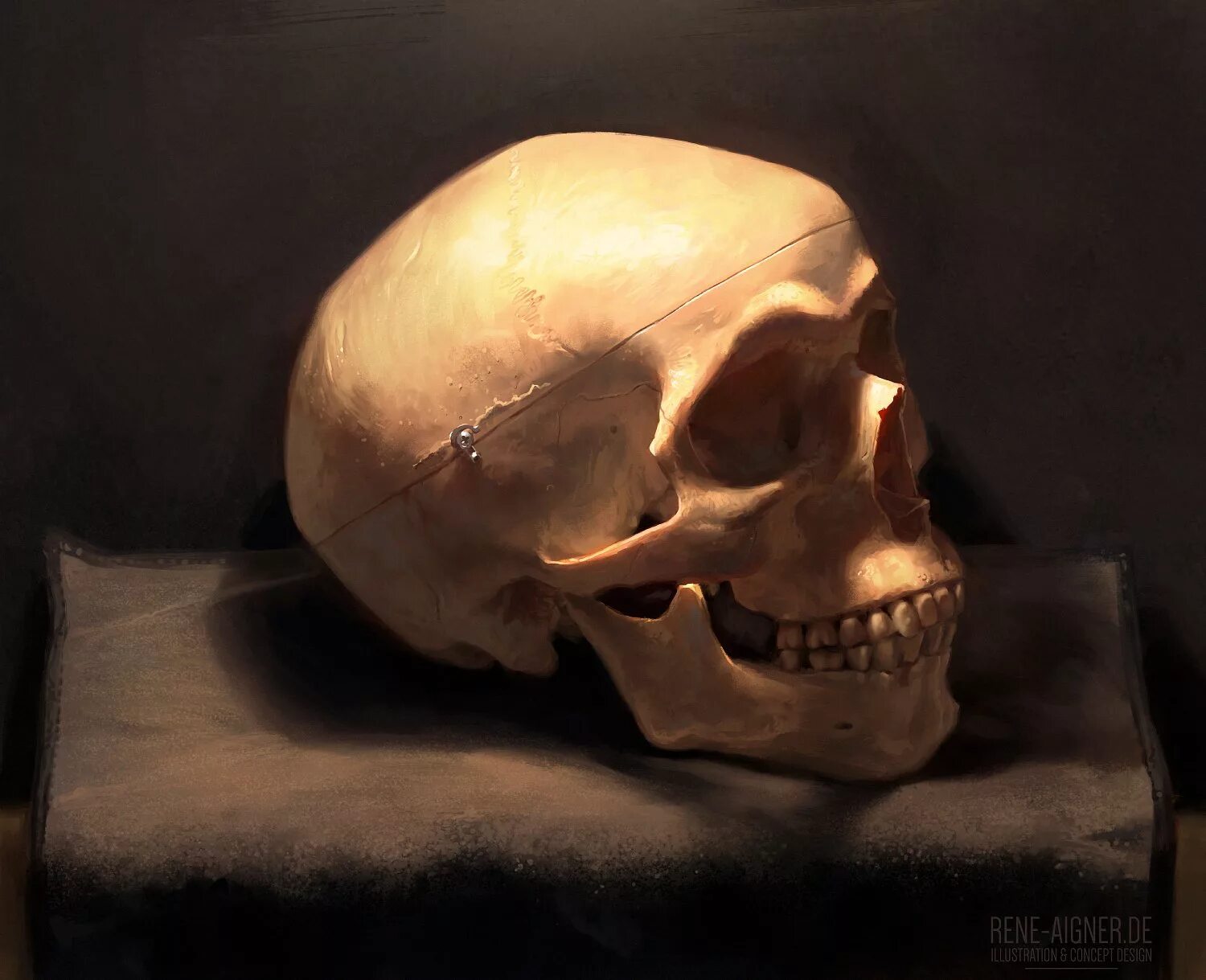 Раскололся череп у человека фото René Aigner - Skull Study from Life