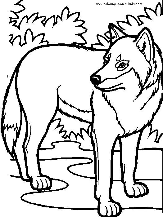 Раскрасить фото волка онлайн Wolf in the forrest color page Animal coloring pages, Wolf colors, Horse colorin