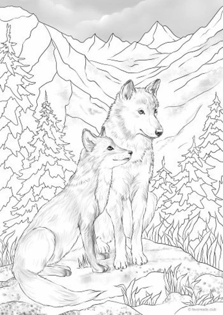 Раскрасить фото волка онлайн Wolf and Fox Printable Adult Coloring Page From Favoreads coloring Book Pages fo