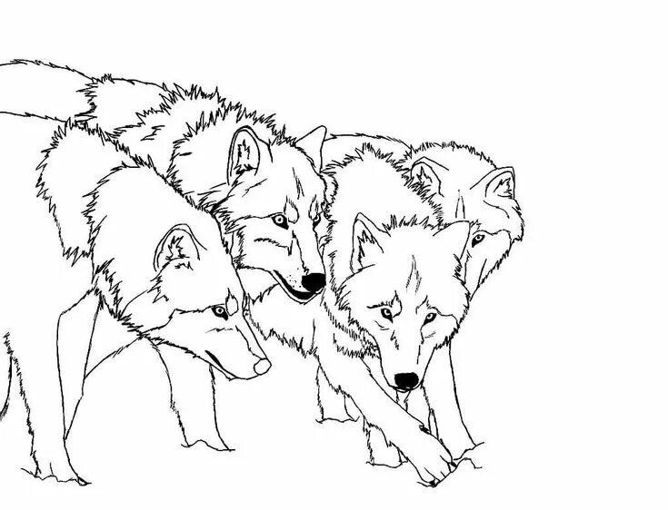 Раскрасить фото волка онлайн Стая волков Coloring pages, Animal coloring pages, Valentines card design