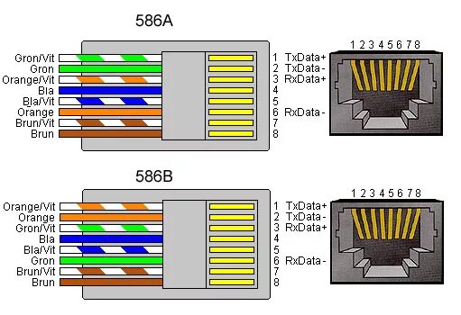 Распайка коннектора rj 45 Perforation George Eliot Apparemment rj45 586b salon de coiffure Sil vous plaît 