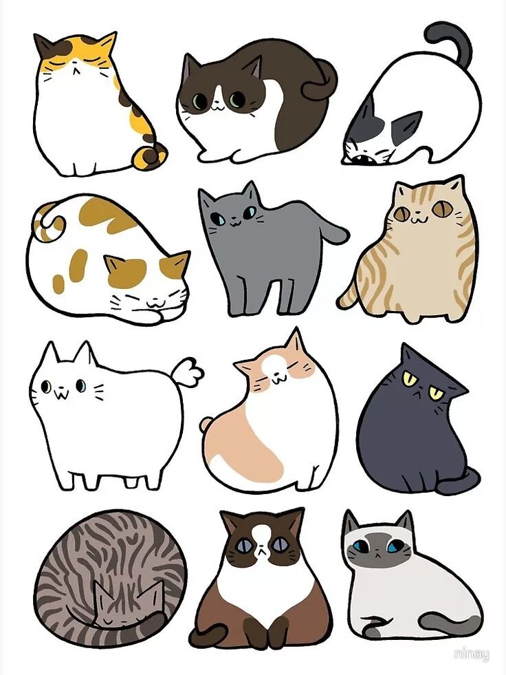 Распечатать фото котика для наклеек "Cats Cats Cats" Poster for Sale by ninay Posters de gatos, Dibujos de gatos lin