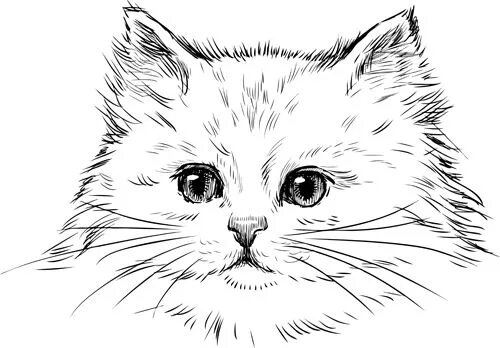 Распечатать фото котиков рисовать Hand drawn cats head vector set 02 - Vectors free download Tete de chat dessin, 