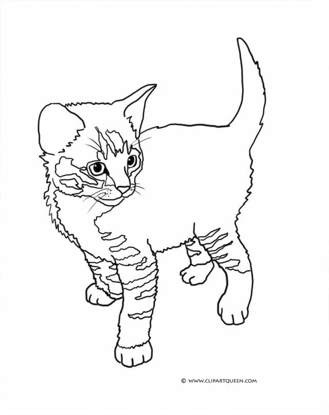 Распечатать фото котиков рисовать Pretty Image of Kittens Coloring Pages - entitlementtrap.com Cat coloring page, 