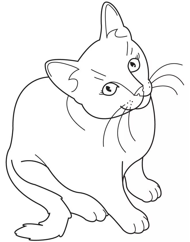 Распечатать фото котиков рисовать Coloring Book Animal Illustrator Animal Coloring Page Artist Animal coloring pag