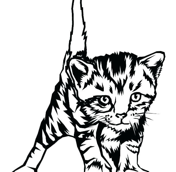 Распечатать фото котиков рисовать Kitten Colouring Pictures To Print Kittens Coloring Pages Cute Kitten Pictures T