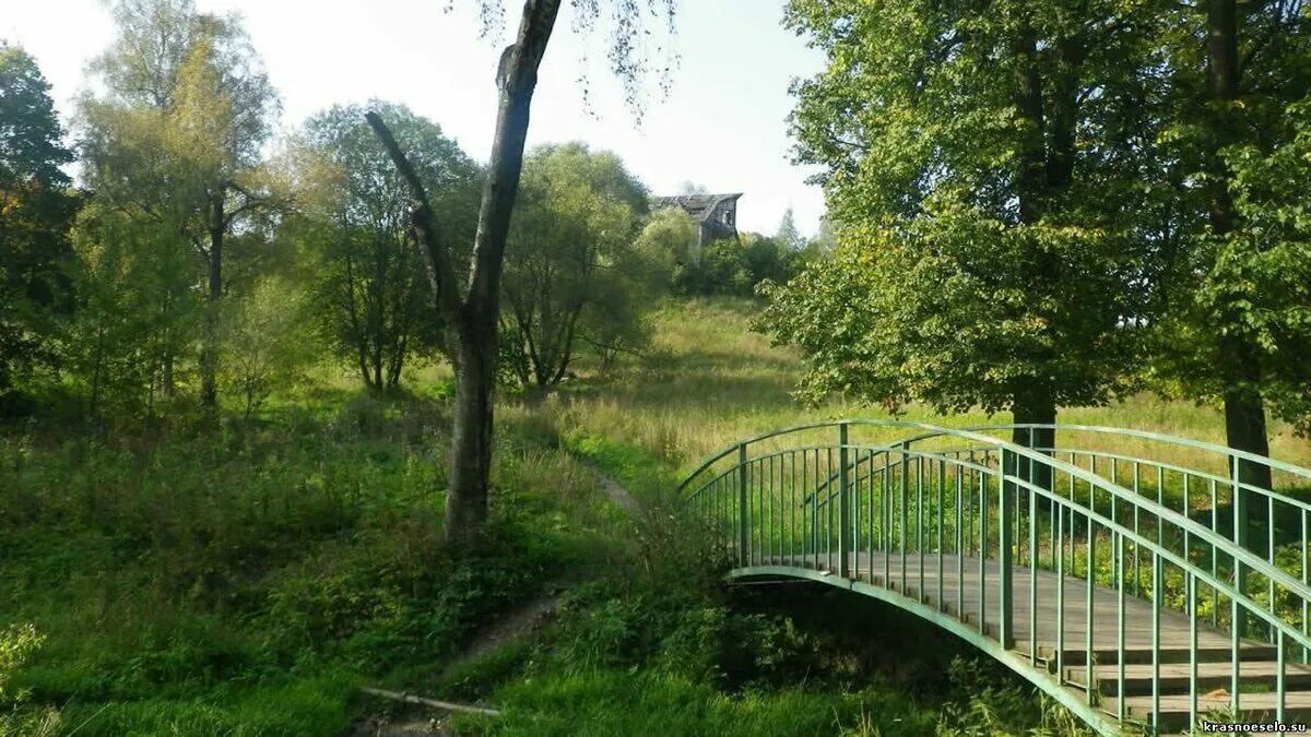 Распечатать фото красное село Жемчужины Ленинградской области - Красное Село. Поездочка Дзен