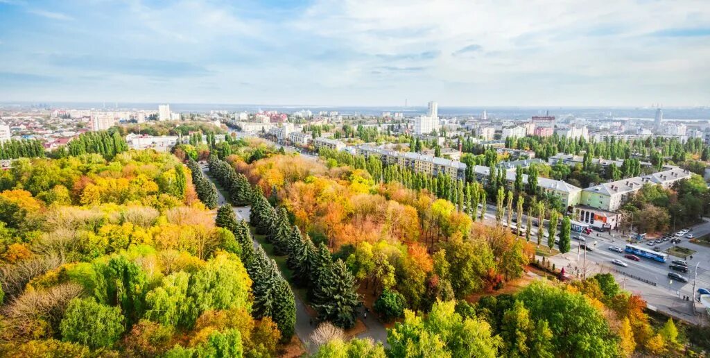 Распечатать фото липецк В Общественной палате города Липецка прошел круглый стол по вопросам озеленения 