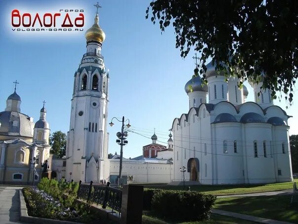 Распечатать фото в вологде адреса В преддверии Всемирного дня здоровья и к 75-летию ВОЗ, Вологодская региональная 