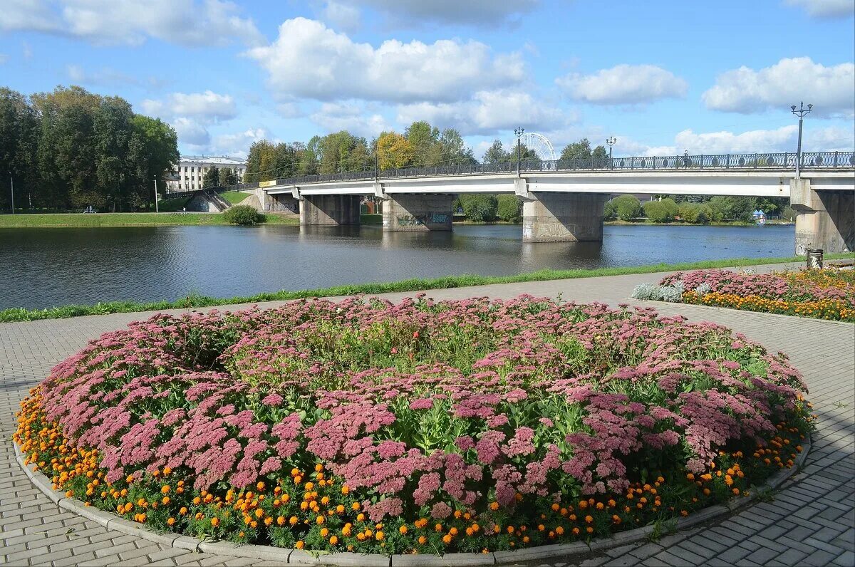 Распечатать фото великие луки Великие Луки, городские цветы, 19 сентября 2020... :: Владимир Павлов - Социальн