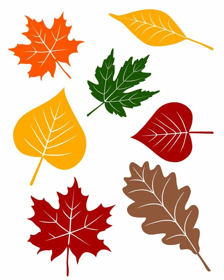 Распечатать красивые осенние листочки для оформления 5 Fall Circle Time Lessons with FREE Printables Leaf crafts, Autumn leaves craft