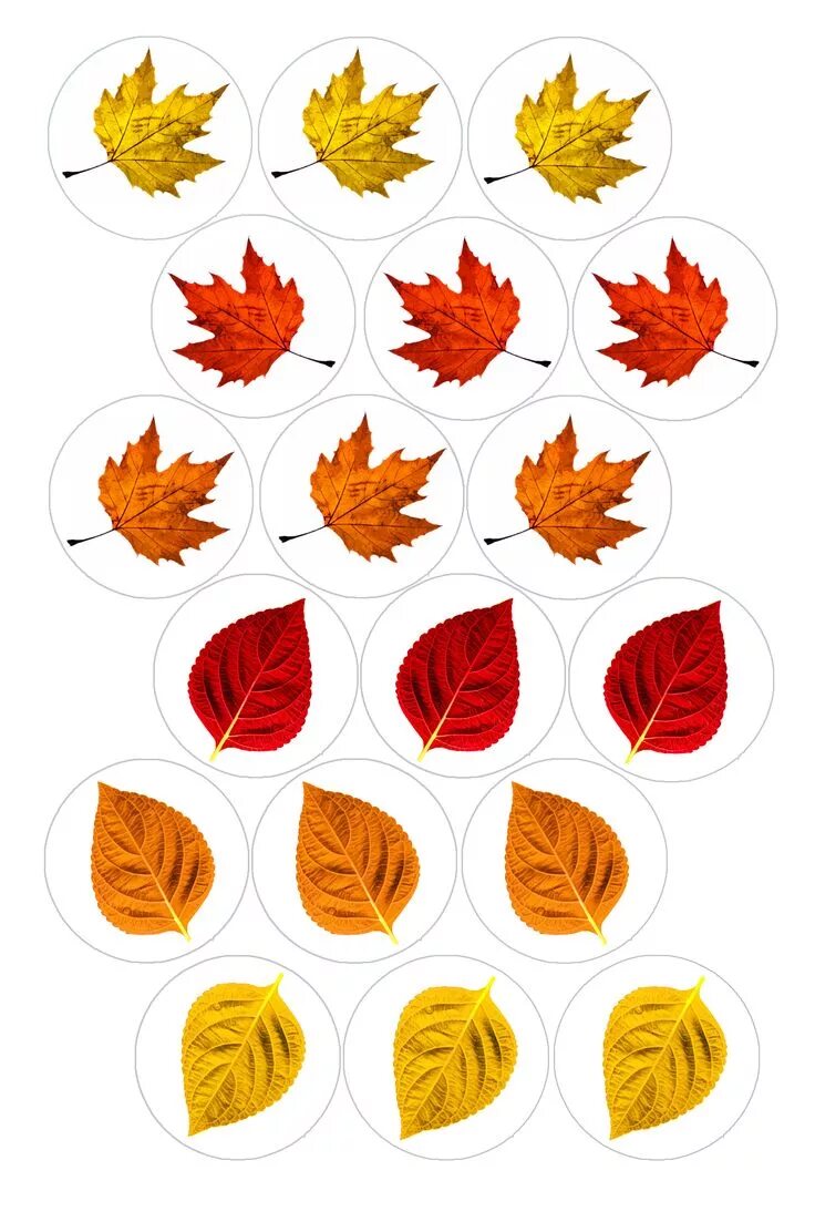 Распечатать красивые осенние листочки для оформления Autumn Leaves Bottle cap image pack Formatted for printing on 4" x 6" photo pape