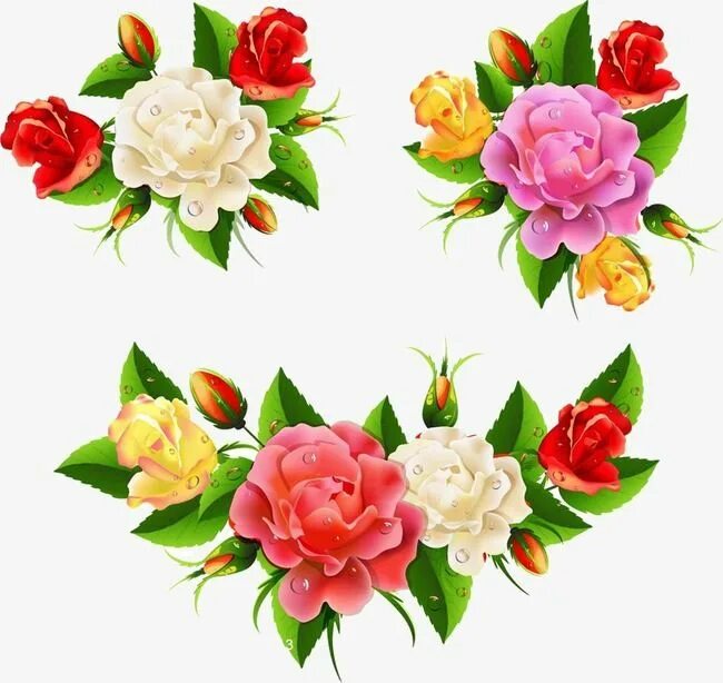 Распечатать красивые цветы для оформления Flower PNG Images, Flower Clipart, Bright PNG Transparent Background - Pngtree F