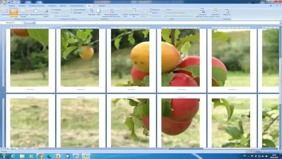 Распечатать много фото на одном листе Как распечатать фотки фото - DelaDom.ru