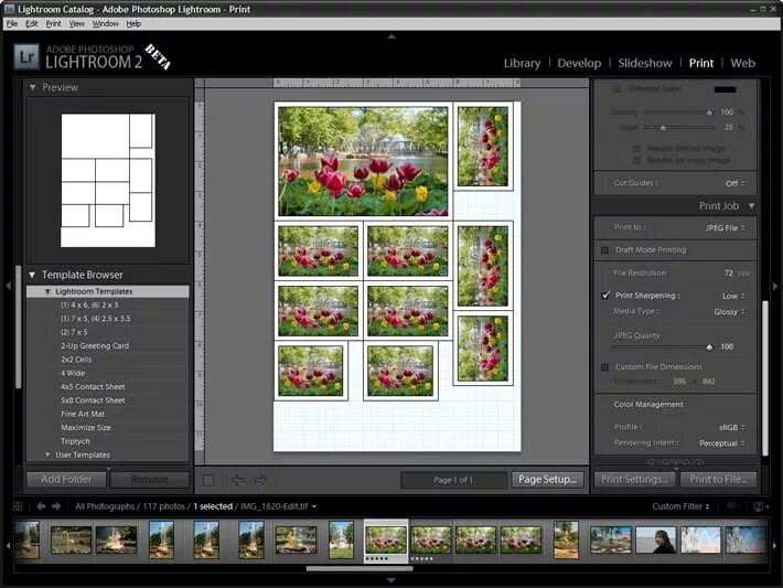 Распечатать несколько фото на одном листе а4 Adobe открывает бета-тестирование программы Lightroom 2 // Новости фотоиндустрии