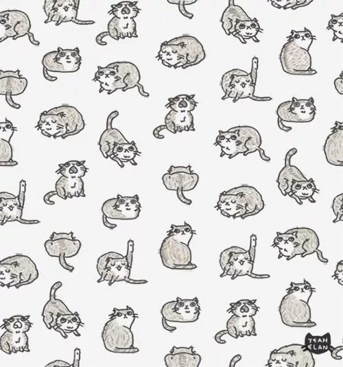 Распечатка котики фото Y E A H E L A N on We Heart It Cats illustration, Cat background, Cat art