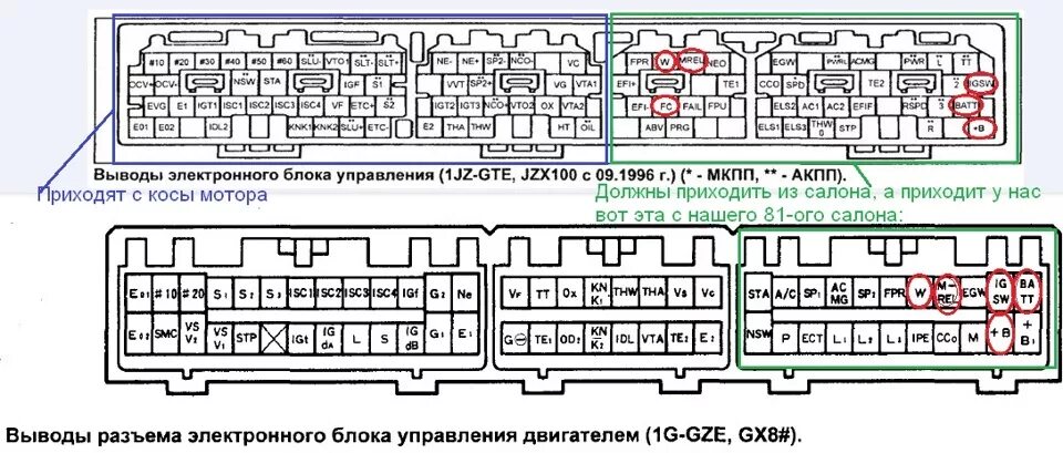 Распиновка 1jz Свап инфо: Распиновка мозгов gx81, jzx100 и не только. (Минимум по электрике для