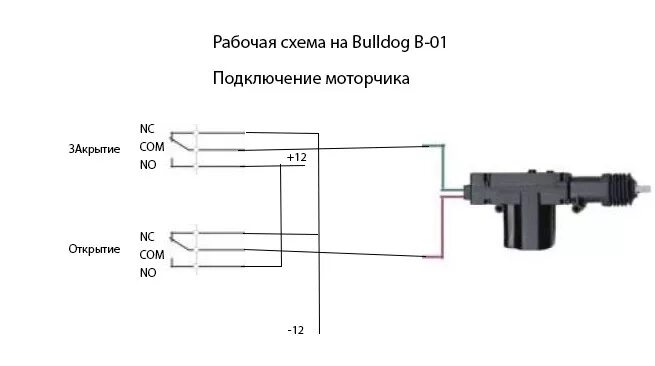 Распиновка актуатора Установка ЦЗ Buldog B-01 (Поставил) - Hyundai Pony, 1,5 л, 1993 года визит на се